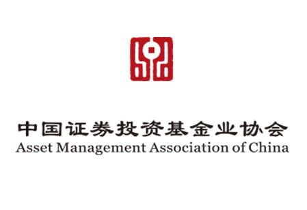 上海帝臣资产管理与投资管理 专业解析与审慎评估