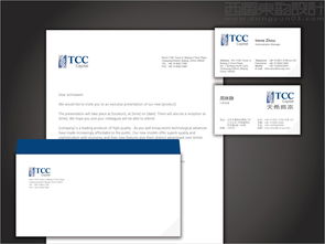 上海天希投资管理公司Logo设计案例解析 西风东韵的融合之美
